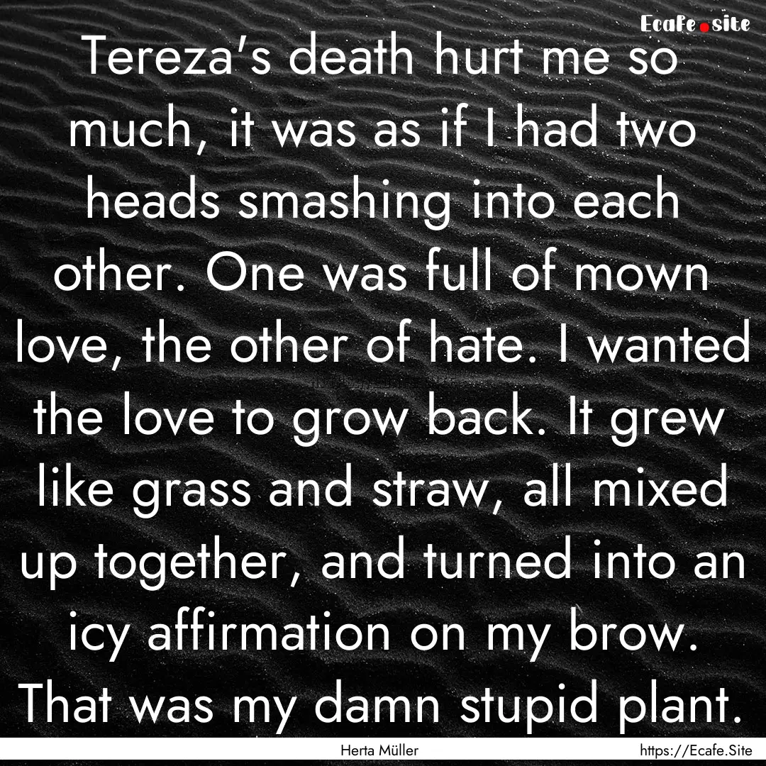 Tereza's death hurt me so much, it was as.... : Quote by Herta Müller