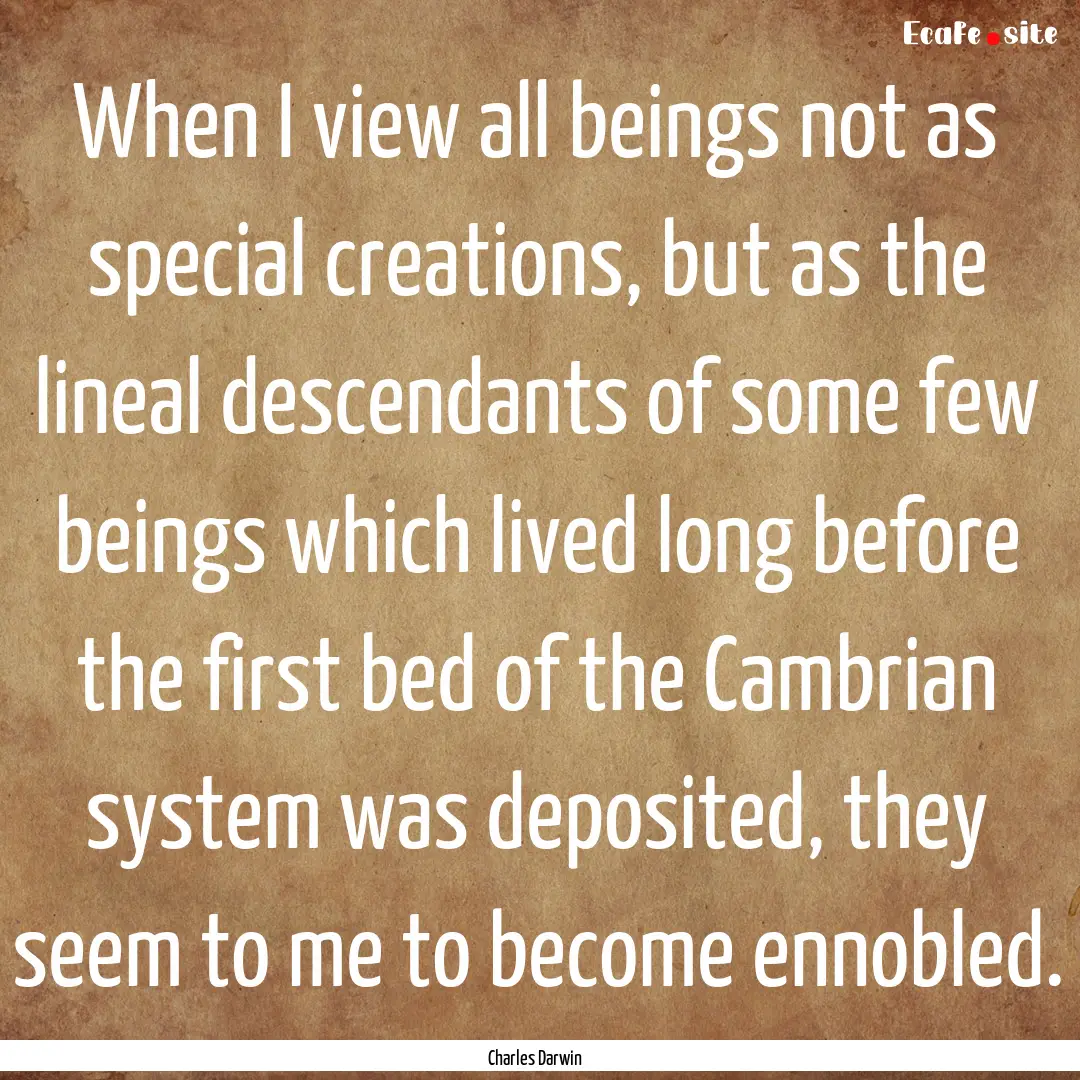 When I view all beings not as special creations,.... : Quote by Charles Darwin