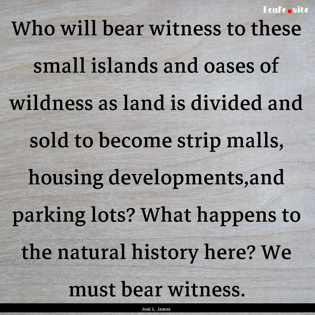 Who will bear witness to these small islands.... : Quote by Joni L. James