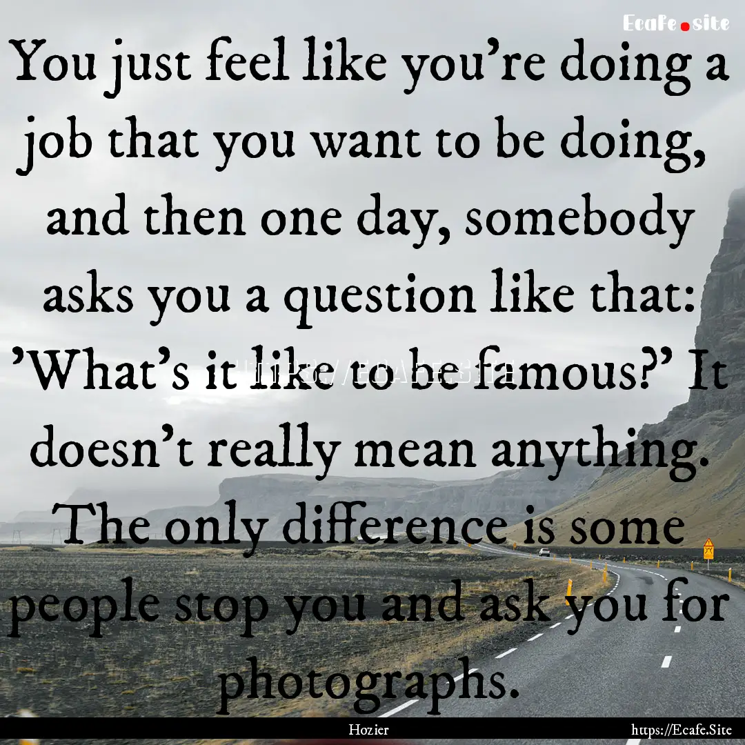 You just feel like you're doing a job that.... : Quote by Hozier