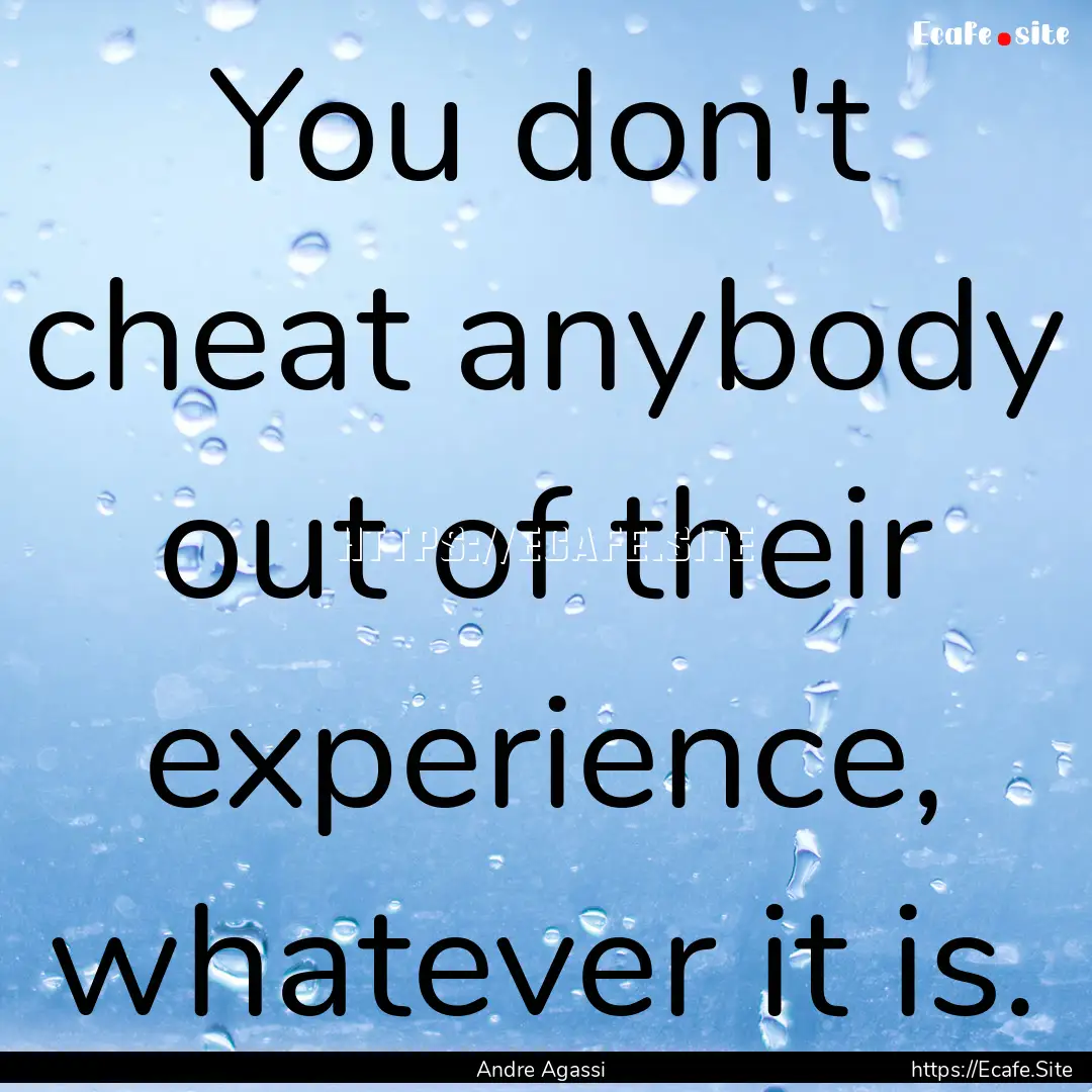 You don't cheat anybody out of their experience,.... : Quote by Andre Agassi