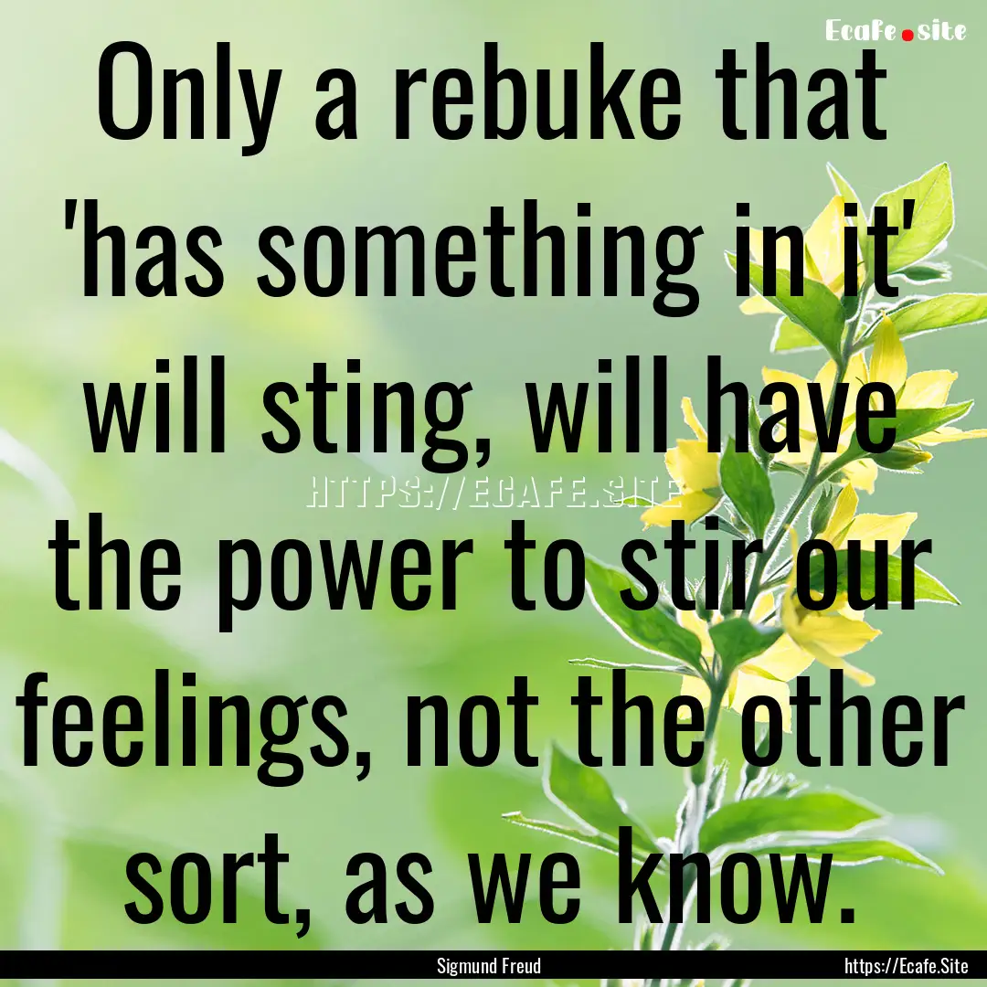 Only a rebuke that 'has something in it'.... : Quote by Sigmund Freud