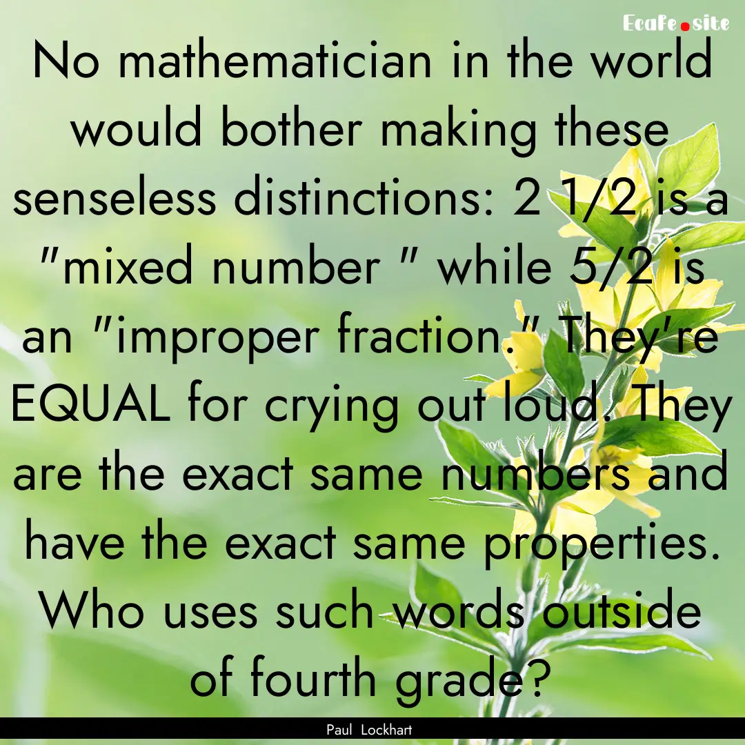 No mathematician in the world would bother.... : Quote by Paul Lockhart