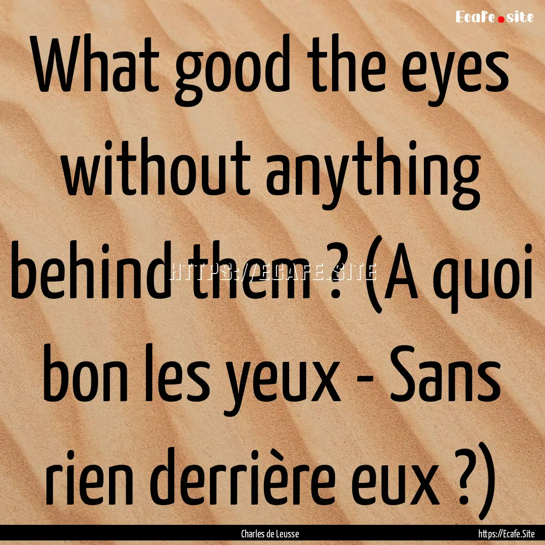 What good the eyes without anything behind.... : Quote by Charles de Leusse