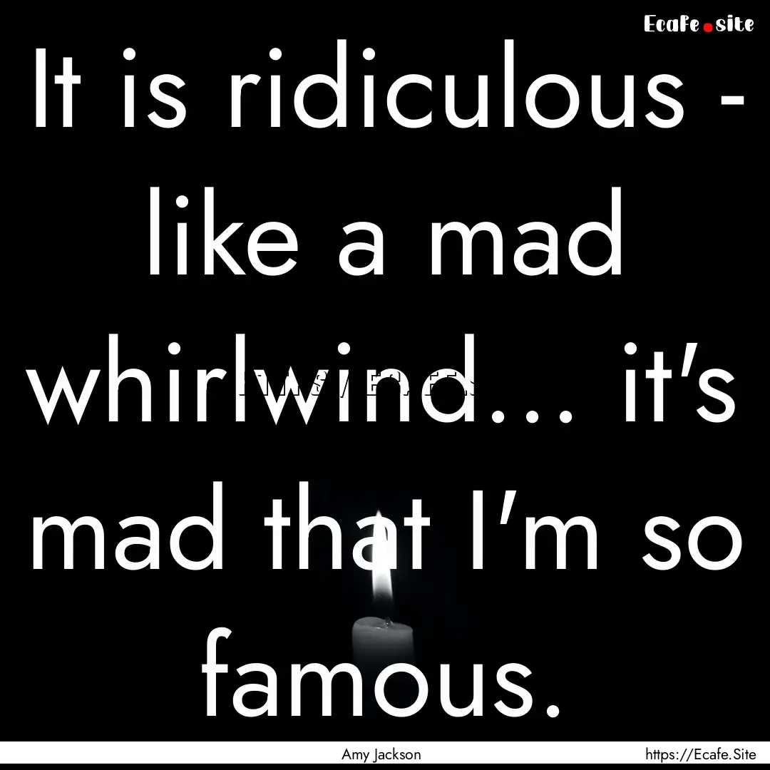 It is ridiculous - like a mad whirlwind....... : Quote by Amy Jackson