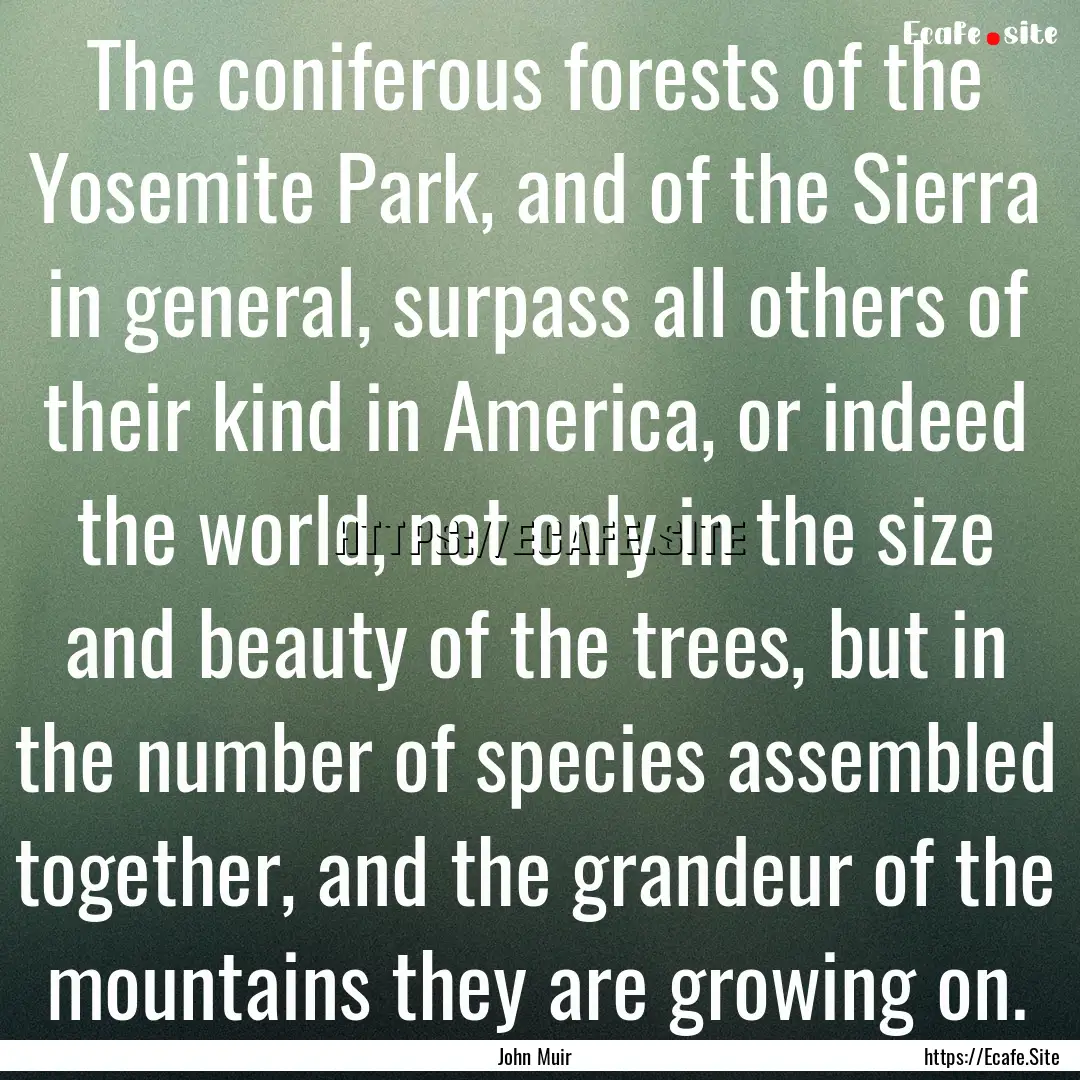 The coniferous forests of the Yosemite Park,.... : Quote by John Muir