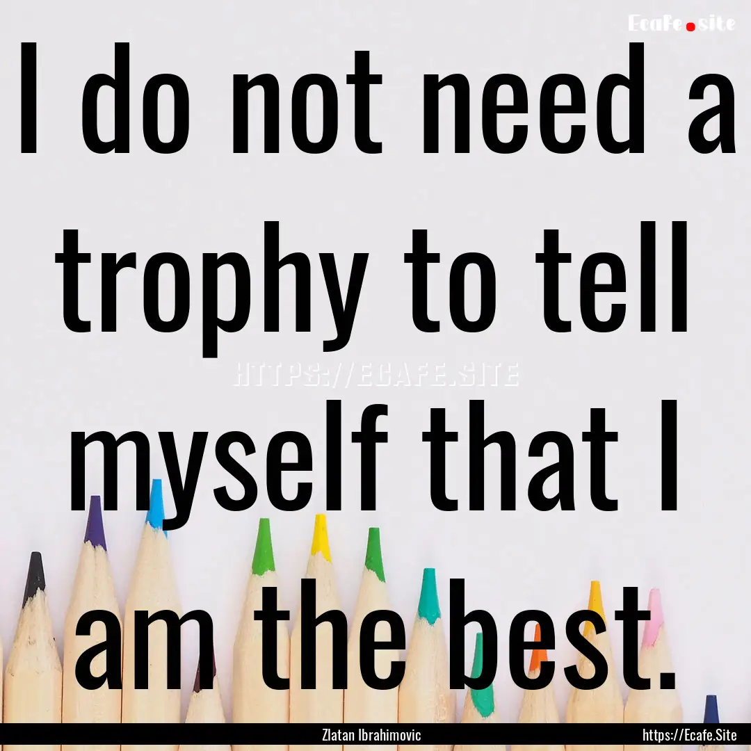 I do not need a trophy to tell myself that.... : Quote by Zlatan Ibrahimovic