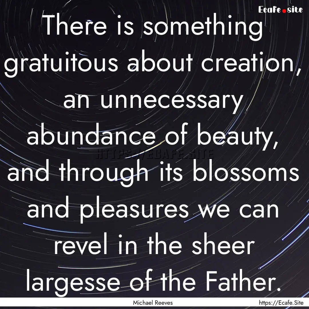 There is something gratuitous about creation,.... : Quote by Michael Reeves