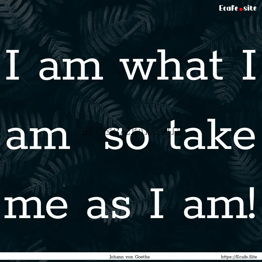 I am what I am so take me as I am! : Quote by Johann von Goethe