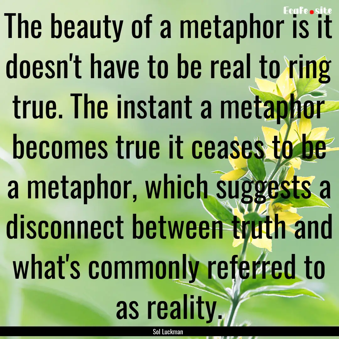 The beauty of a metaphor is it doesn't have.... : Quote by Sol Luckman