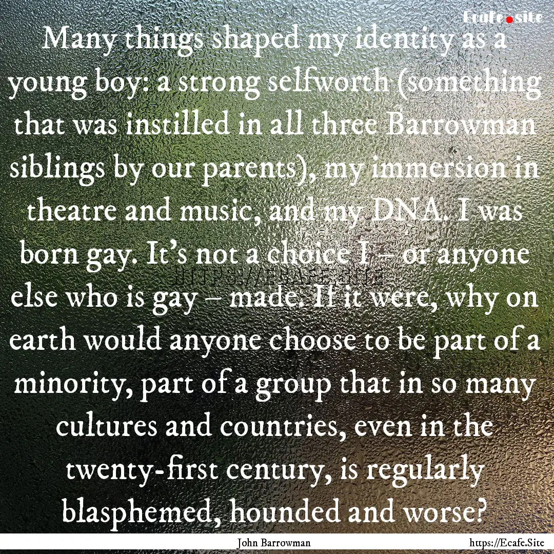 Many things shaped my identity as a young.... : Quote by John Barrowman