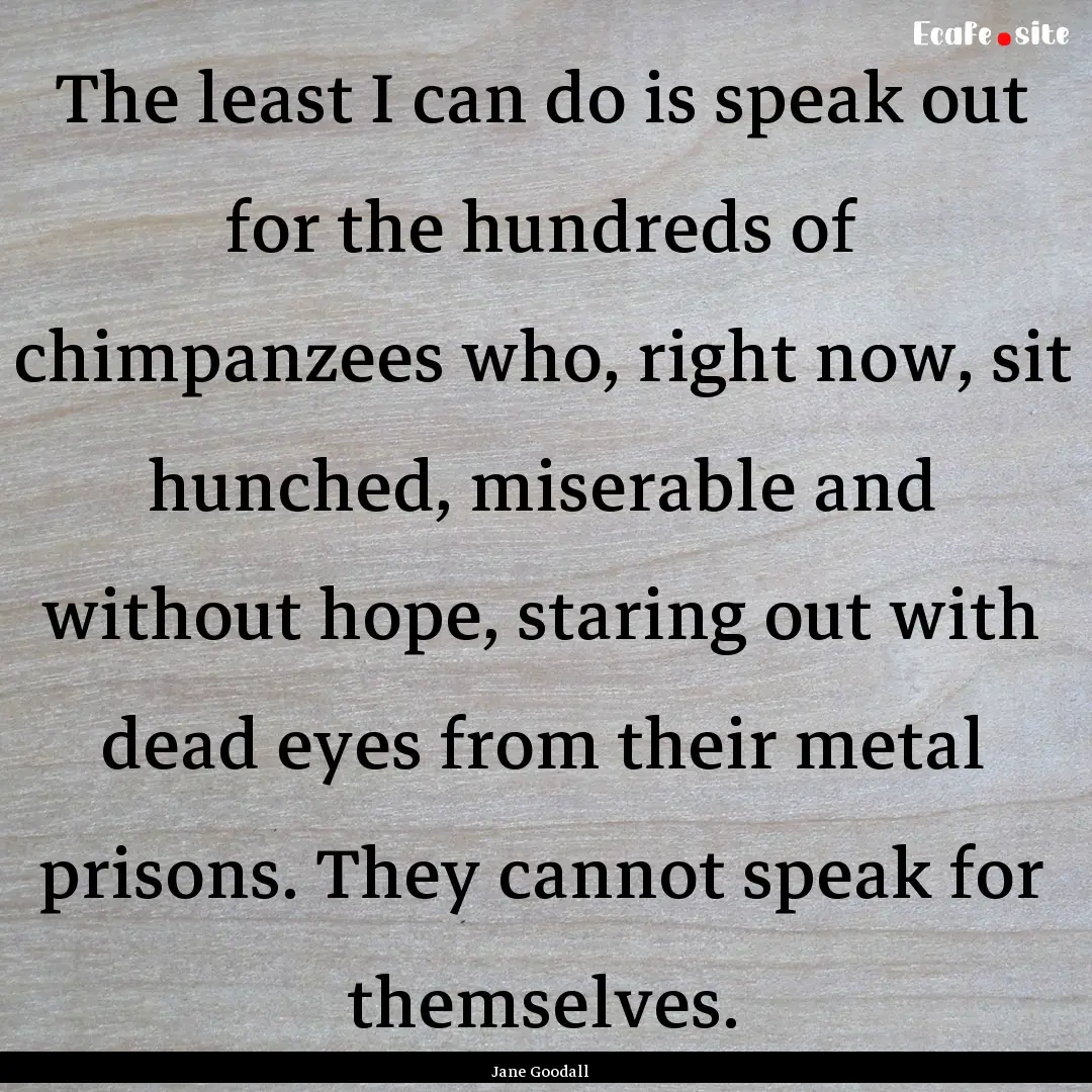 The least I can do is speak out for the hundreds.... : Quote by Jane Goodall