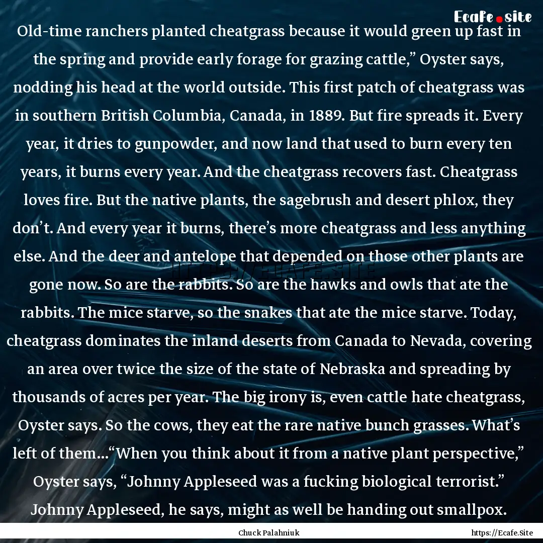 Old-time ranchers planted cheatgrass because.... : Quote by Chuck Palahniuk