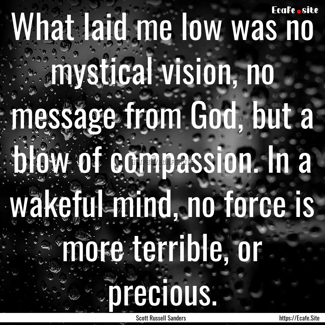 What laid me low was no mystical vision,.... : Quote by Scott Russell Sanders