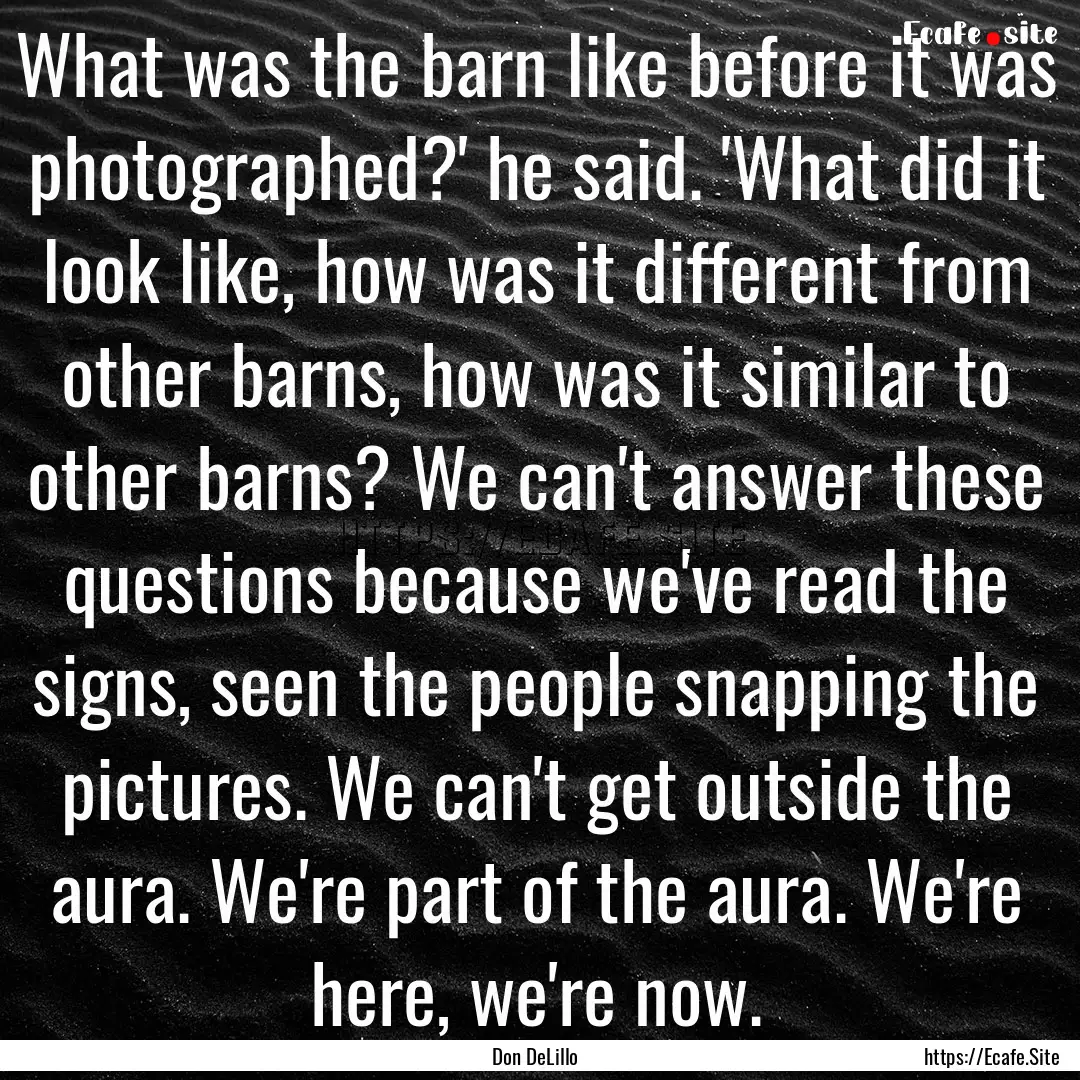 What was the barn like before it was photographed?'.... : Quote by Don DeLillo