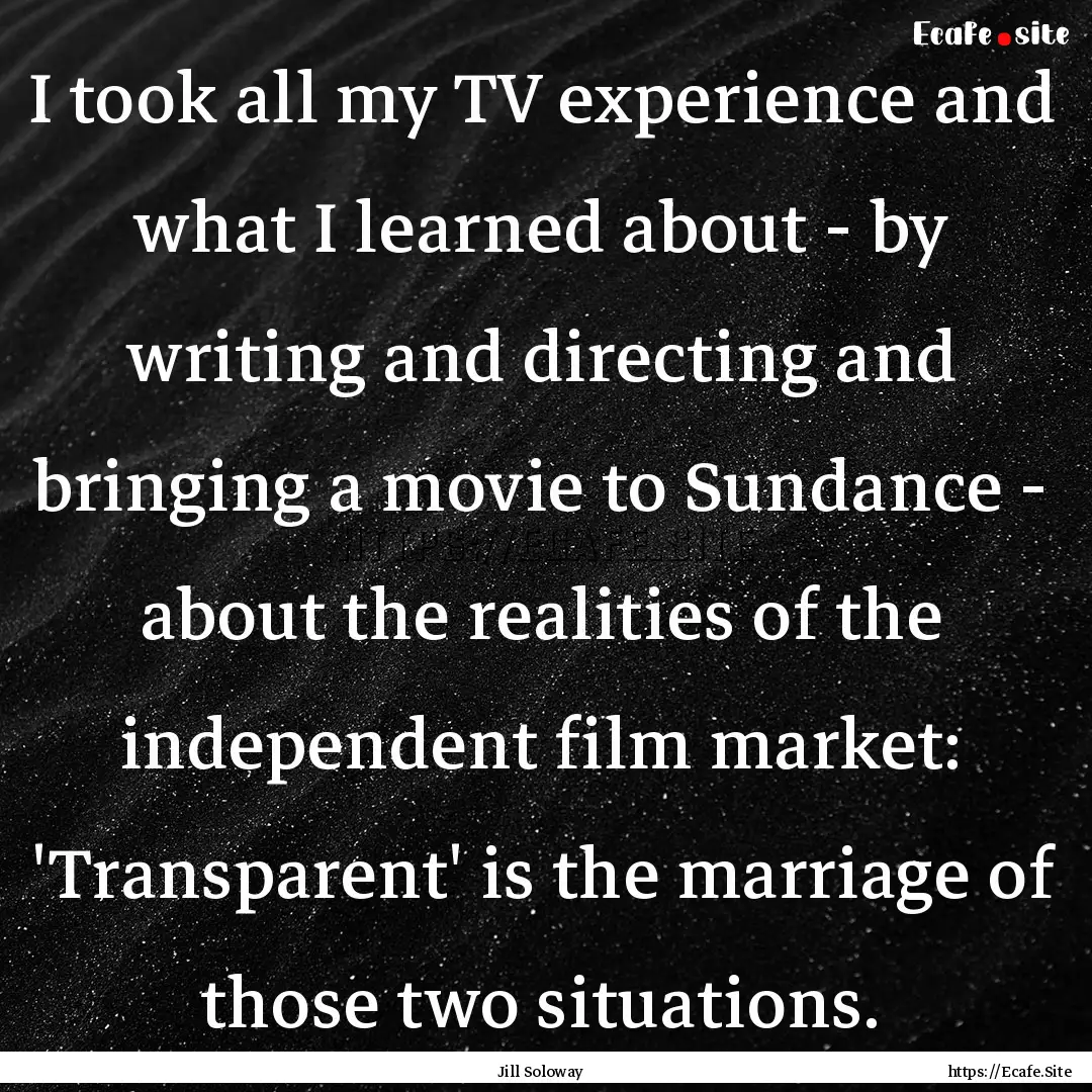 I took all my TV experience and what I learned.... : Quote by Jill Soloway