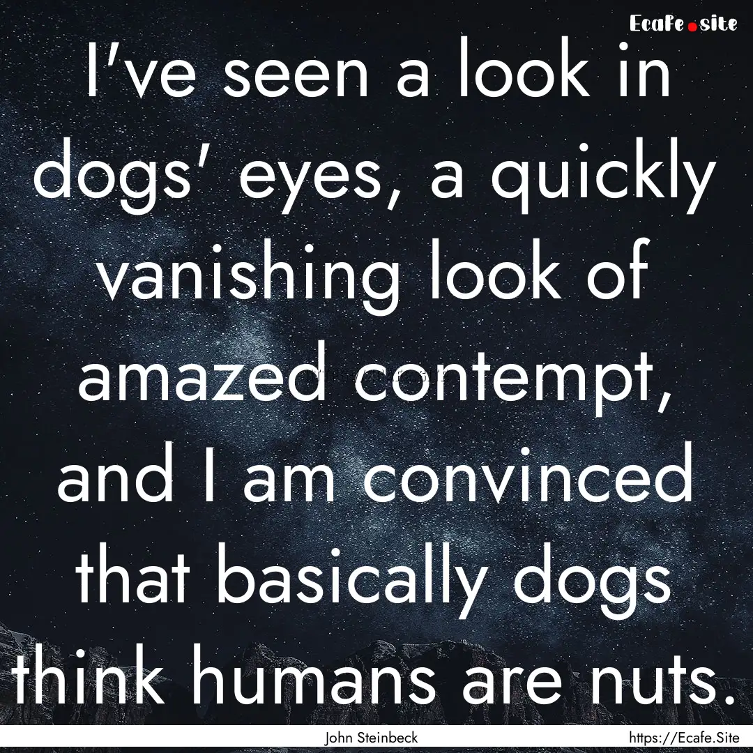 I've seen a look in dogs' eyes, a quickly.... : Quote by John Steinbeck