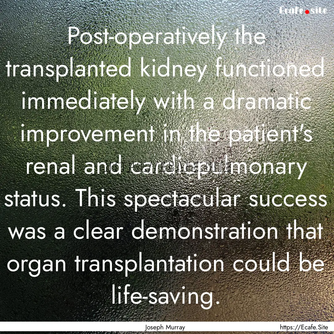 Post-operatively the transplanted kidney.... : Quote by Joseph Murray