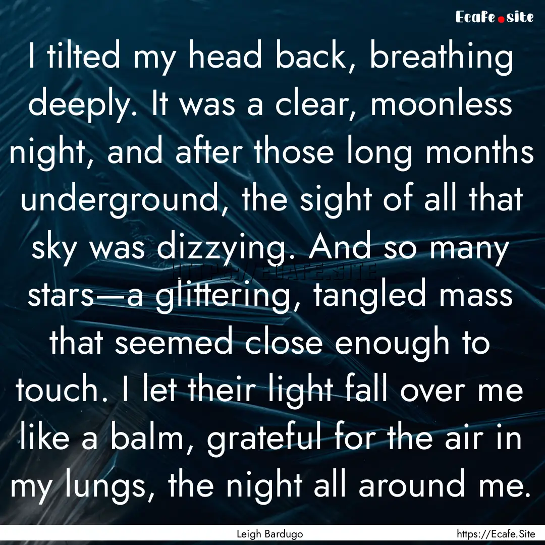 I tilted my head back, breathing deeply..... : Quote by Leigh Bardugo