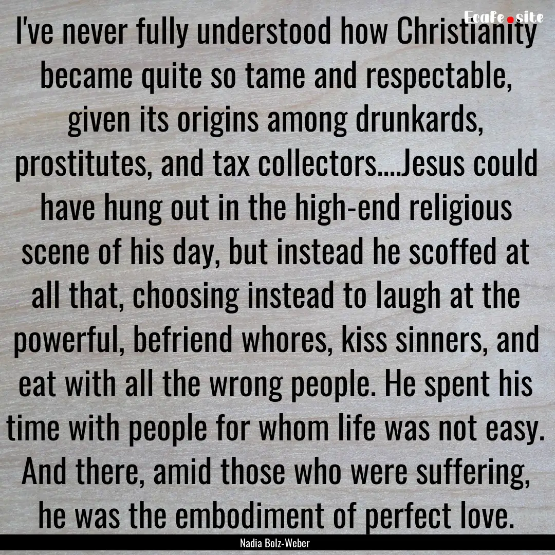 I've never fully understood how Christianity.... : Quote by Nadia Bolz-Weber