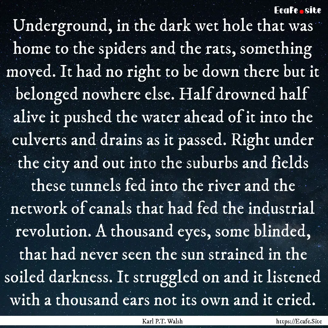 Underground, in the dark wet hole that was.... : Quote by Karl P.T. Walsh