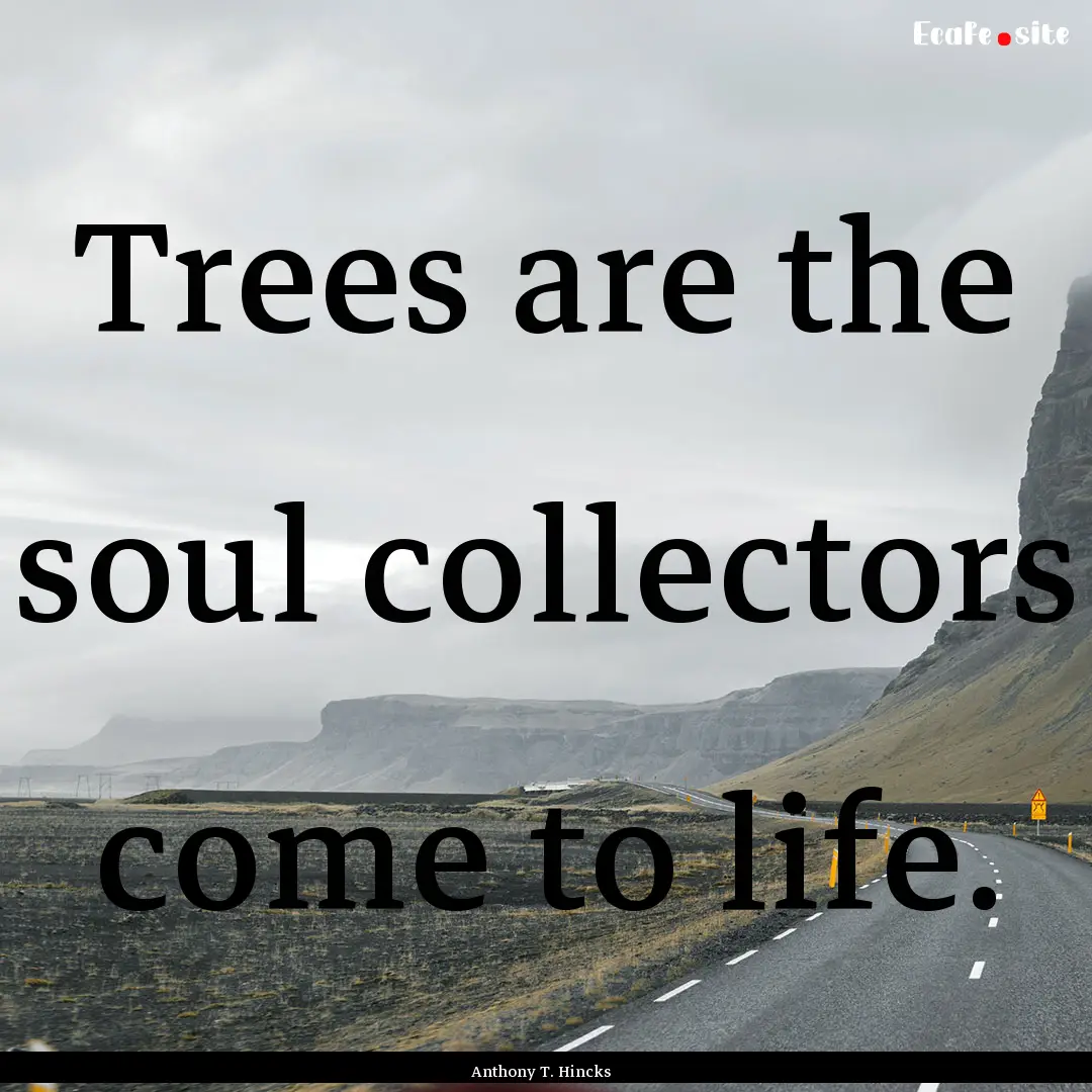 Trees are the soul collectors come to life..... : Quote by Anthony T. Hincks