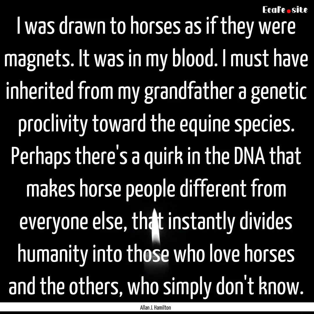 I was drawn to horses as if they were magnets..... : Quote by Allan J. Hamilton