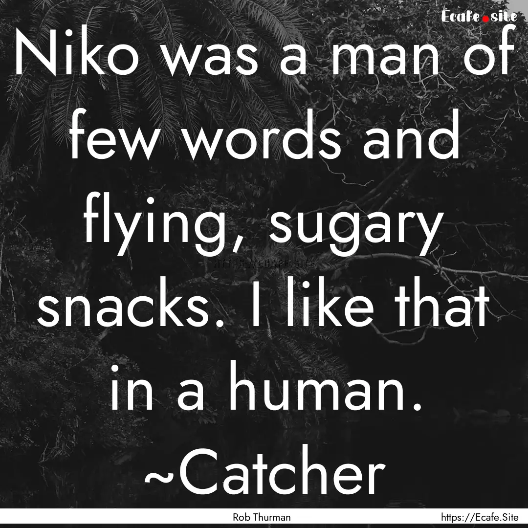 Niko was a man of few words and flying, sugary.... : Quote by Rob Thurman