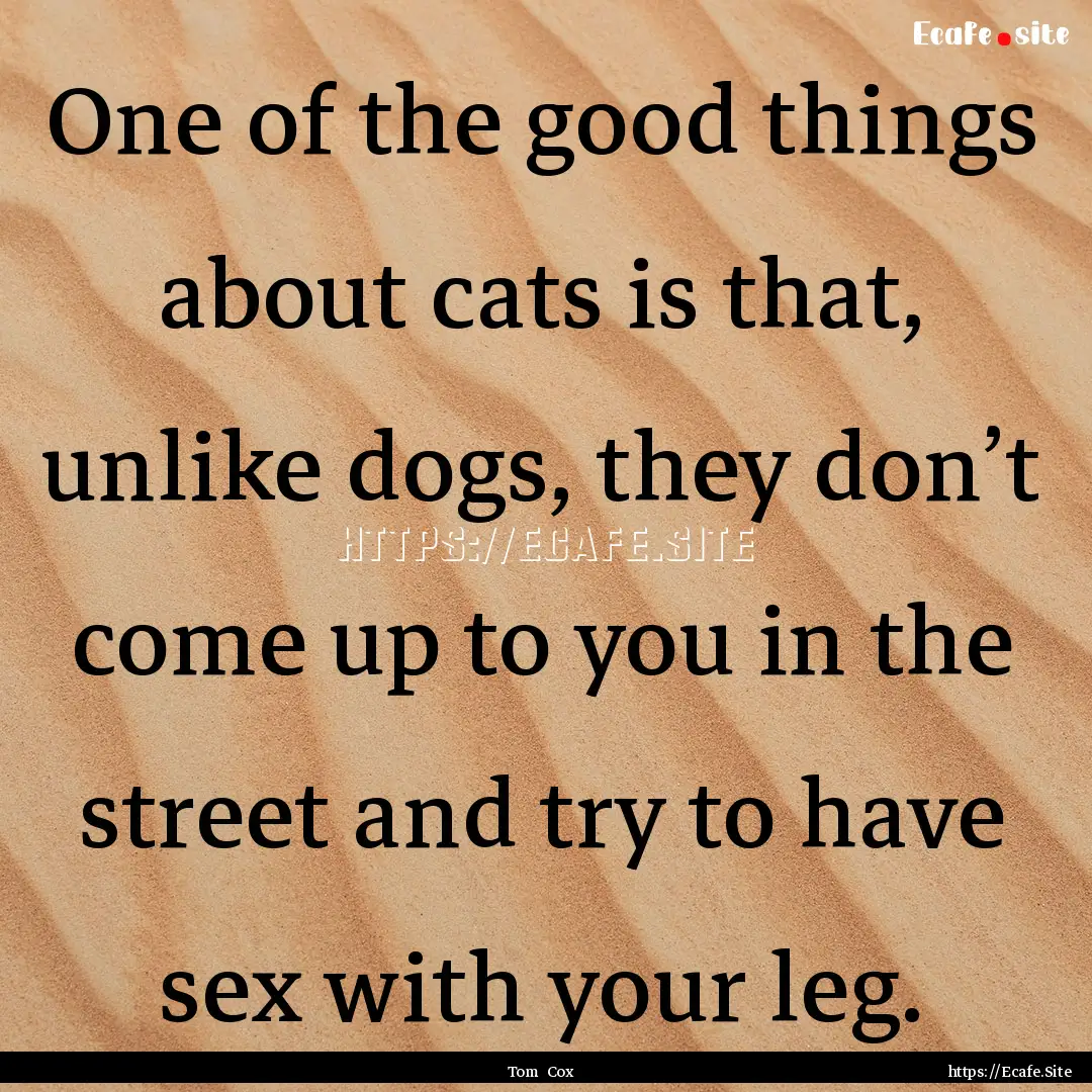 One of the good things about cats is that,.... : Quote by Tom Cox