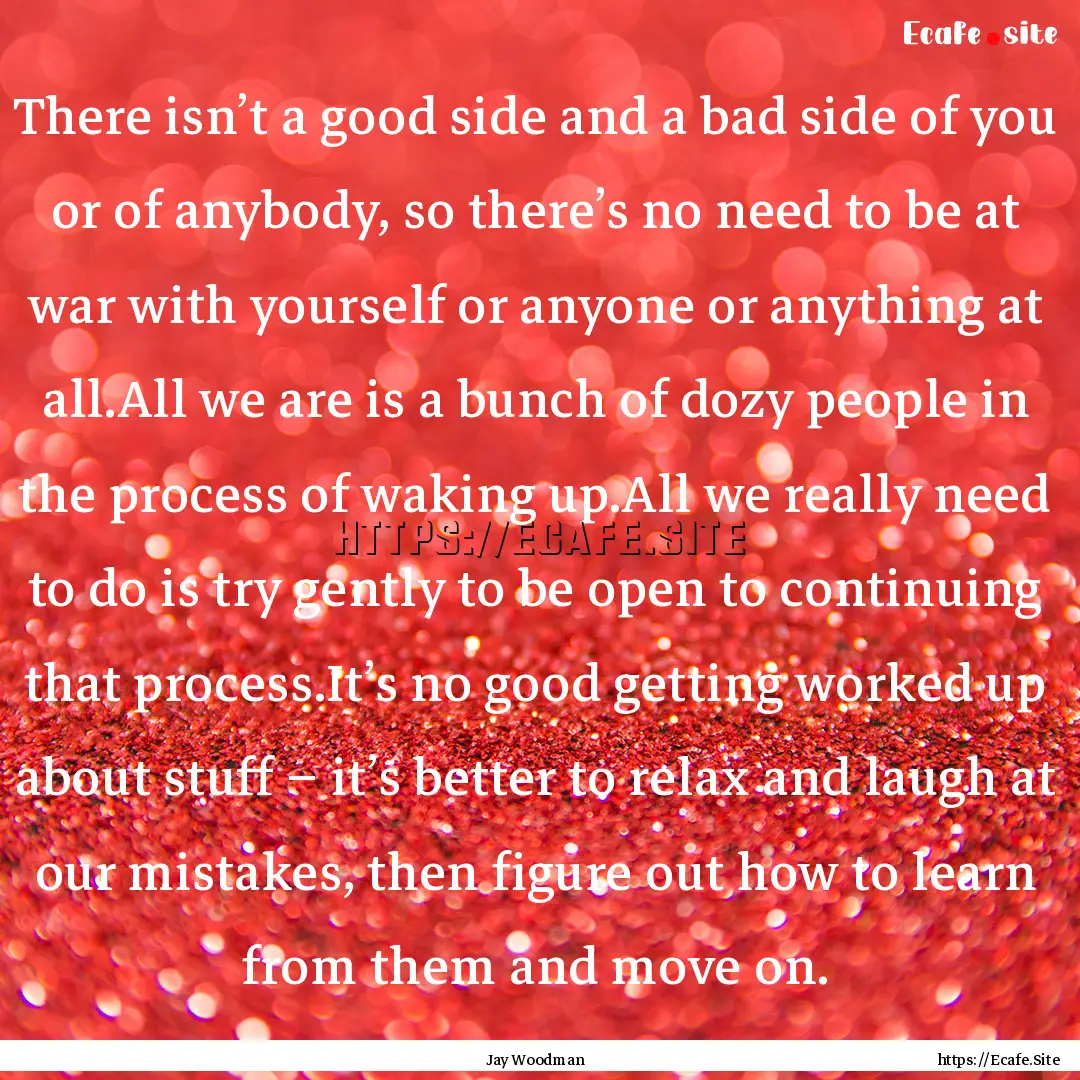 There isn’t a good side and a bad side.... : Quote by Jay Woodman