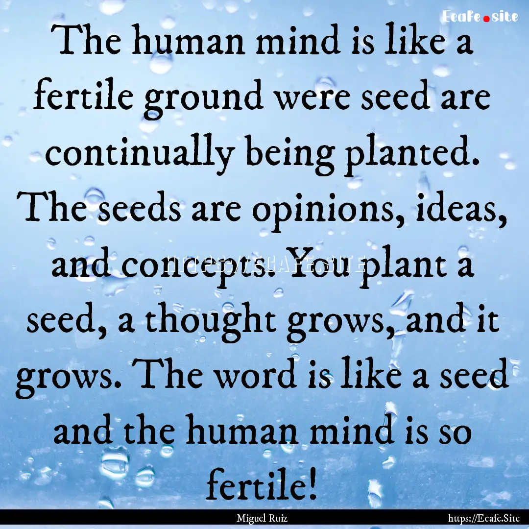 The human mind is like a fertile ground were.... : Quote by Miguel Ruiz