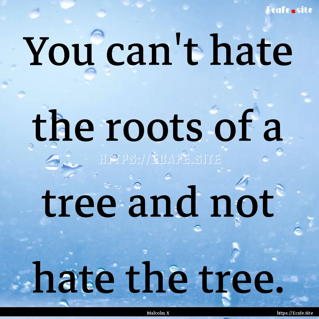 You can't hate the roots of a tree and not.... : Quote by Malcolm X