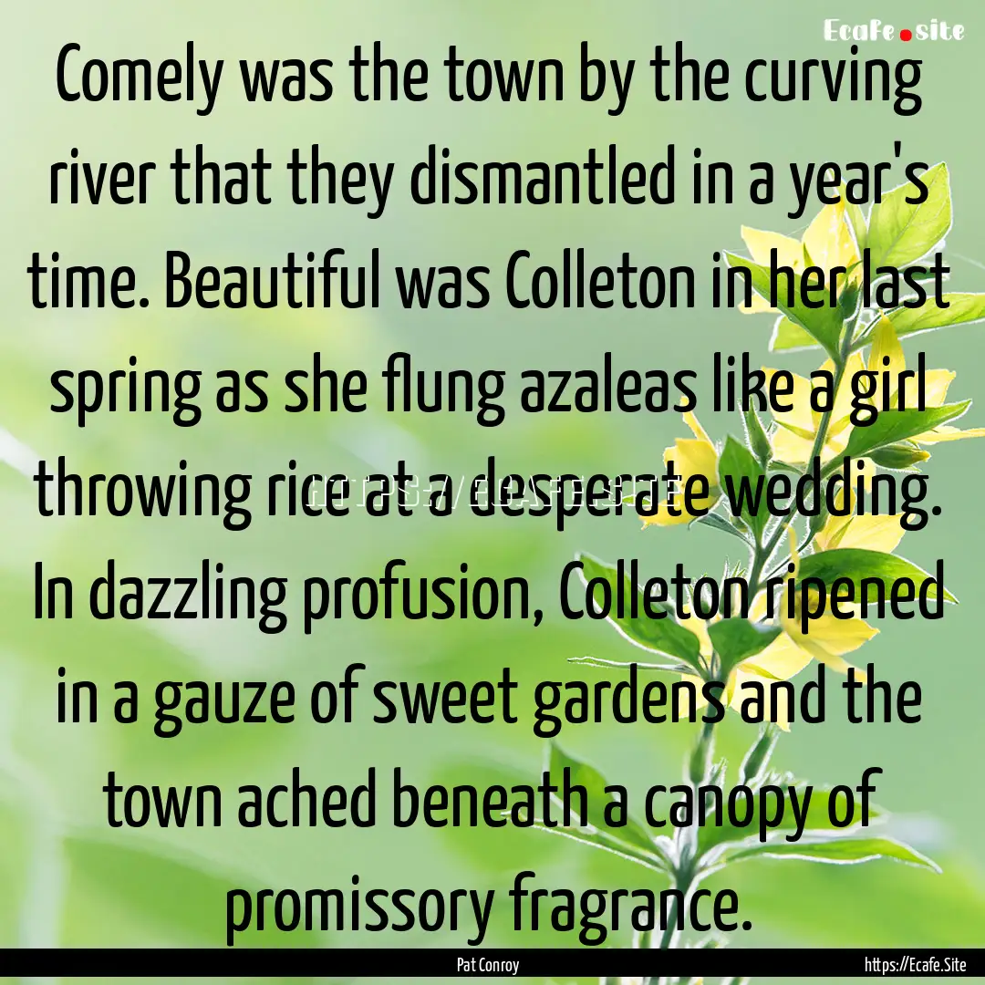 Comely was the town by the curving river.... : Quote by Pat Conroy