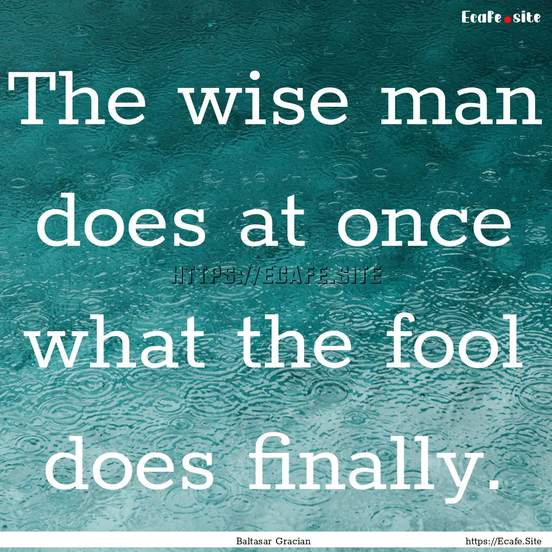 The wise man does at once what the fool does.... : Quote by Baltasar Gracian