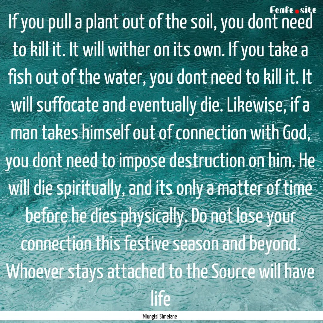 If you pull a plant out of the soil, you.... : Quote by Mlungisi Simelane