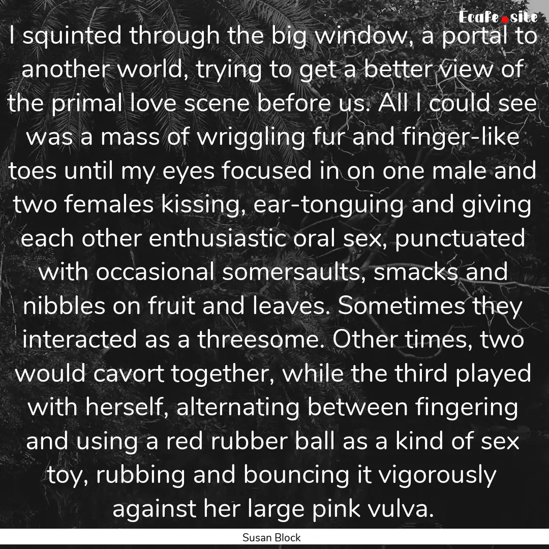 I squinted through the big window, a portal.... : Quote by Susan Block