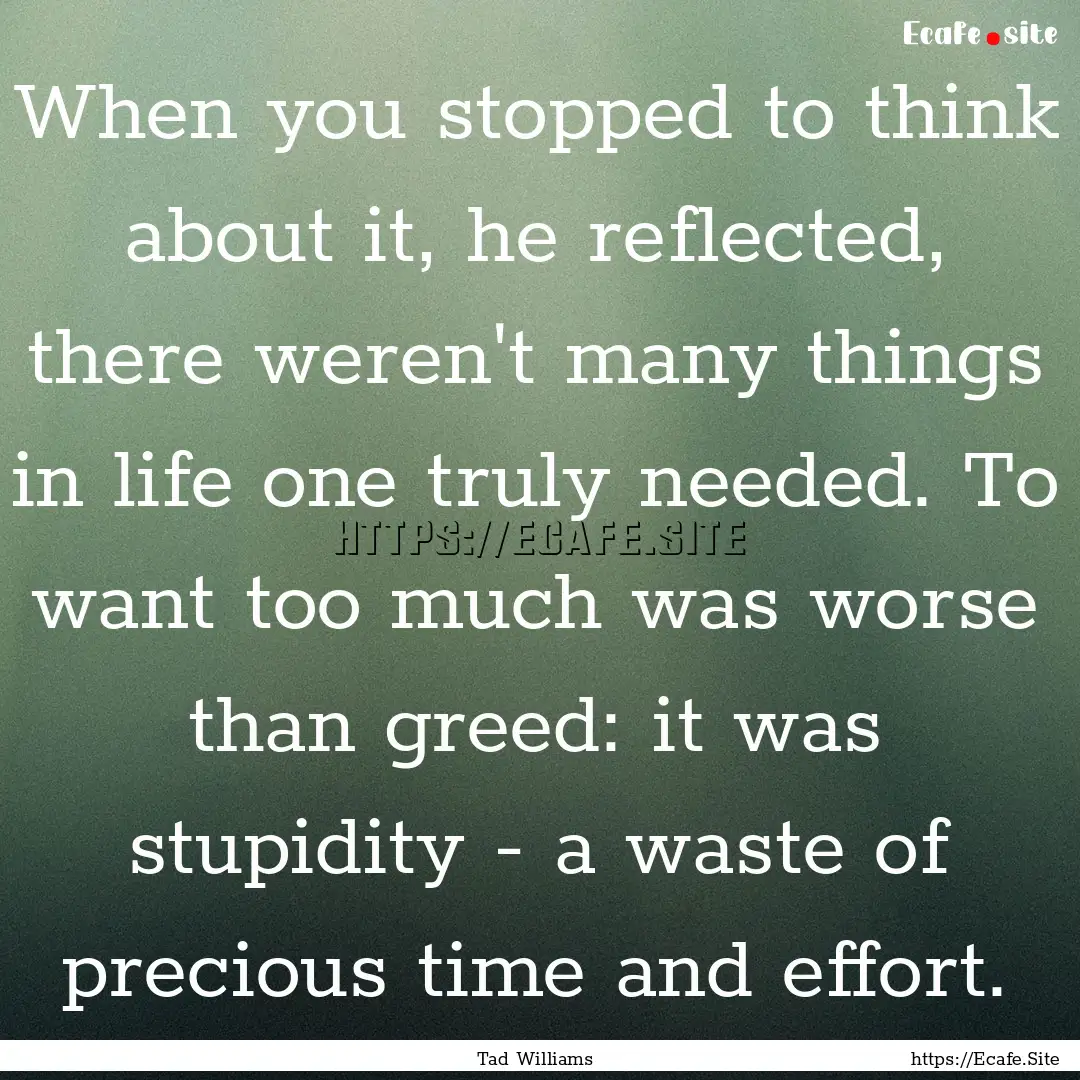 When you stopped to think about it, he reflected,.... : Quote by Tad Williams