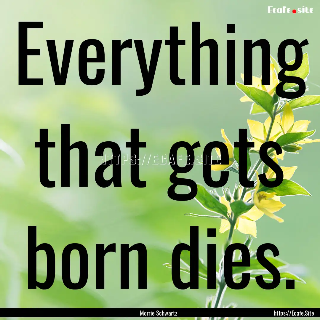 Everything that gets born dies. : Quote by Morrie Schwartz