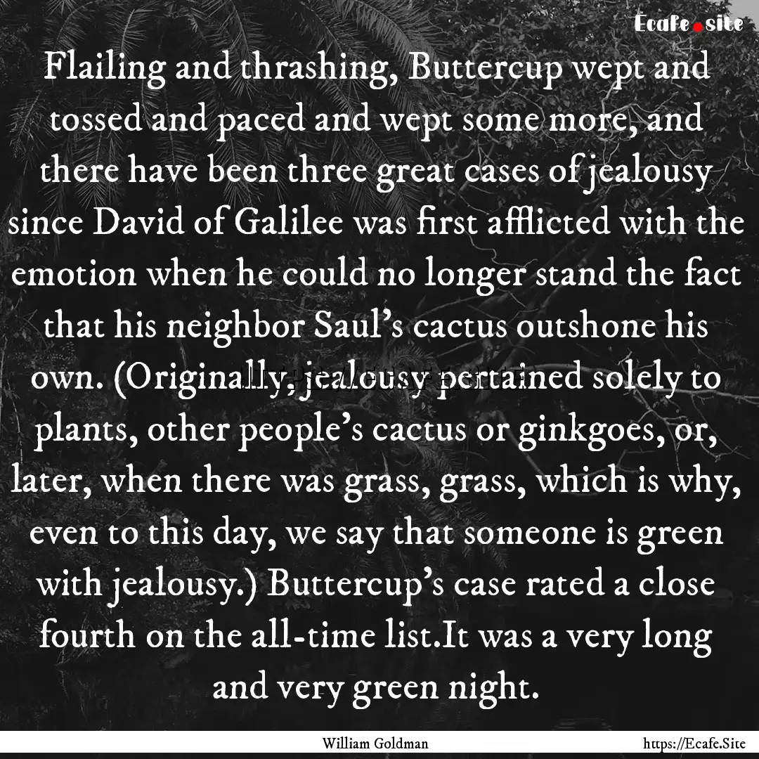 Flailing and thrashing, Buttercup wept and.... : Quote by William Goldman