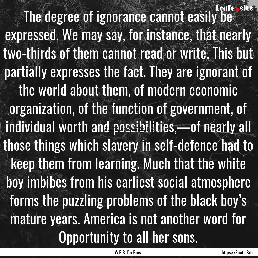 The degree of ignorance cannot easily be.... : Quote by W.E.B. Du Bois