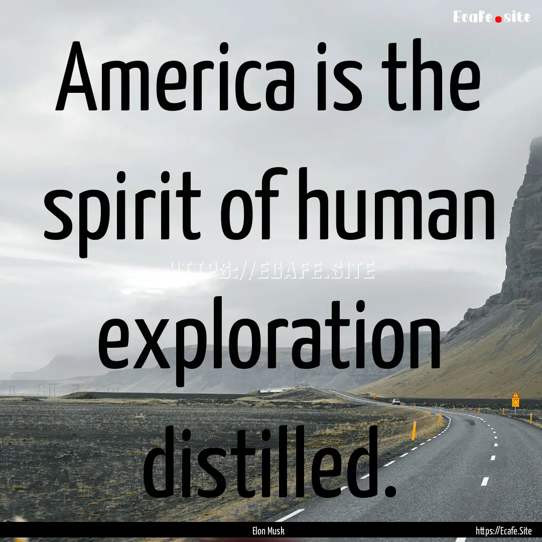 America is the spirit of human exploration.... : Quote by Elon Musk