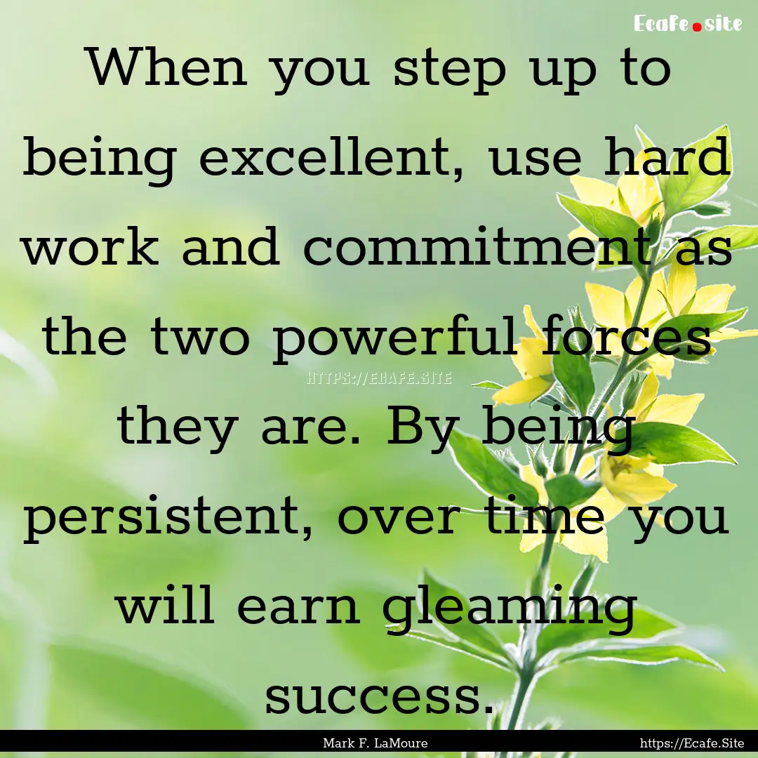 When you step up to being excellent, use.... : Quote by Mark F. LaMoure