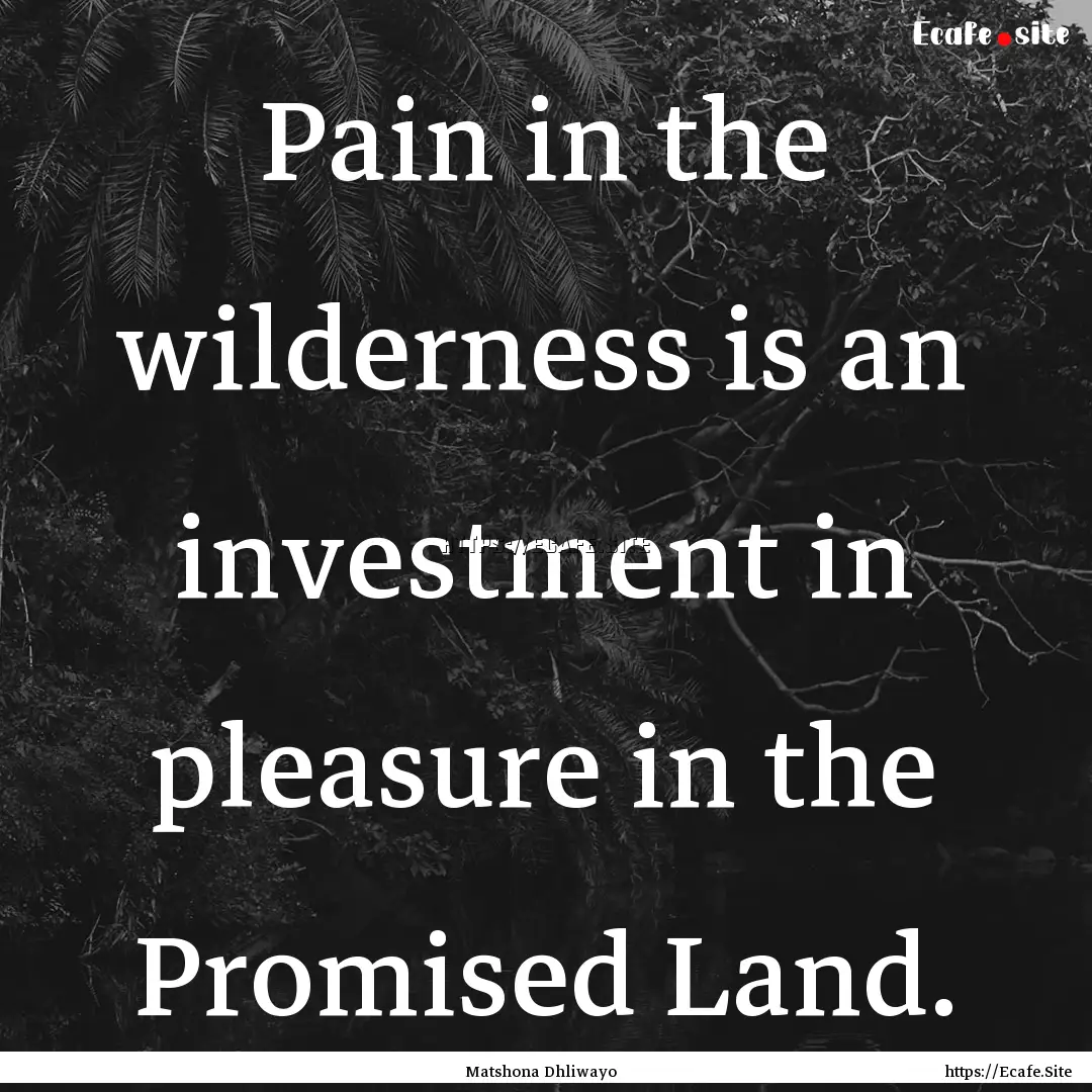 Pain in the wilderness is an investment in.... : Quote by Matshona Dhliwayo