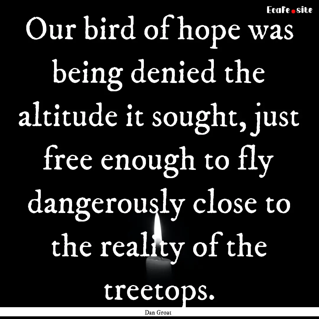 Our bird of hope was being denied the altitude.... : Quote by Dan Groat