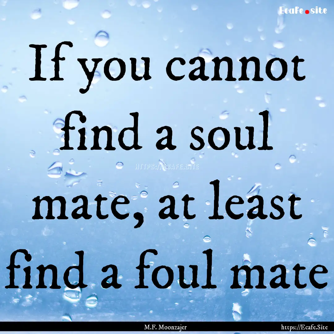 If you cannot find a soul mate, at least.... : Quote by M.F. Moonzajer