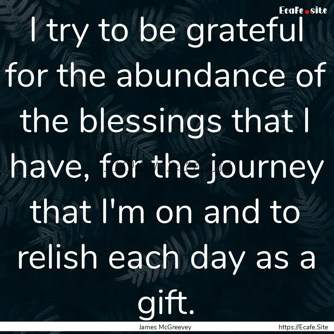 I try to be grateful for the abundance of.... : Quote by James McGreevey