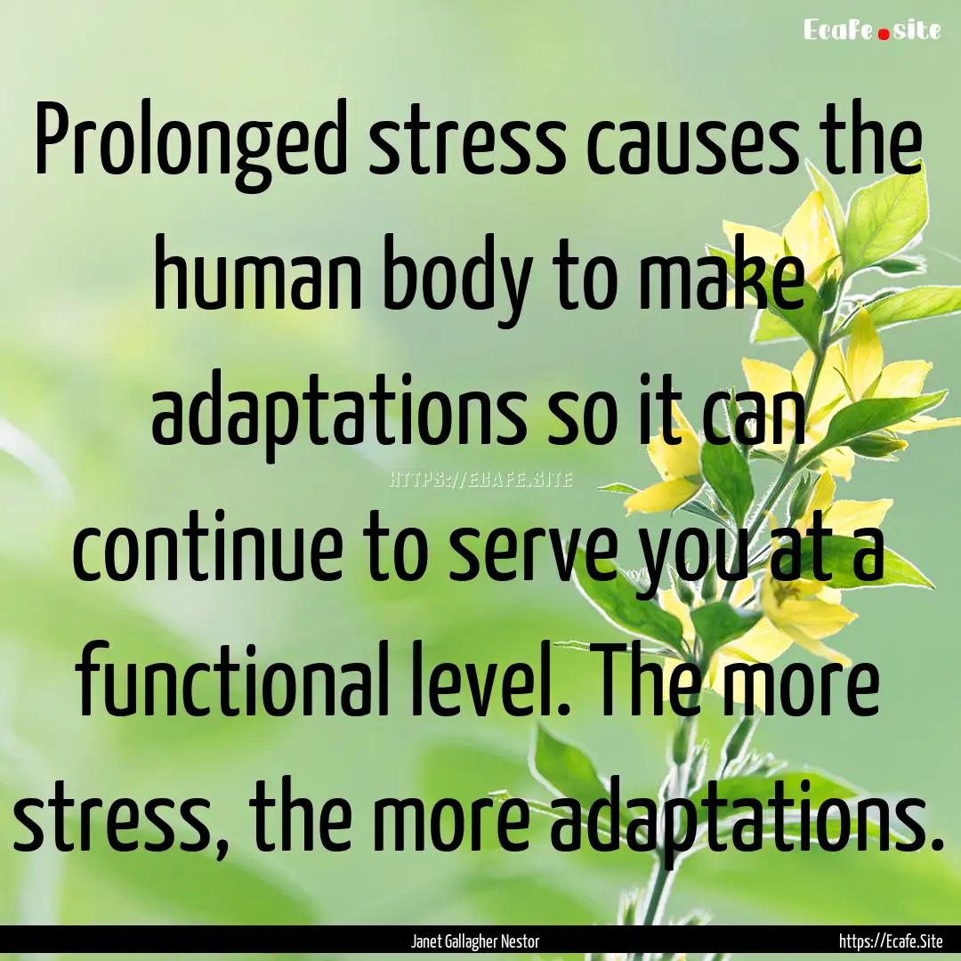 Prolonged stress causes the human body to.... : Quote by Janet Gallagher Nestor