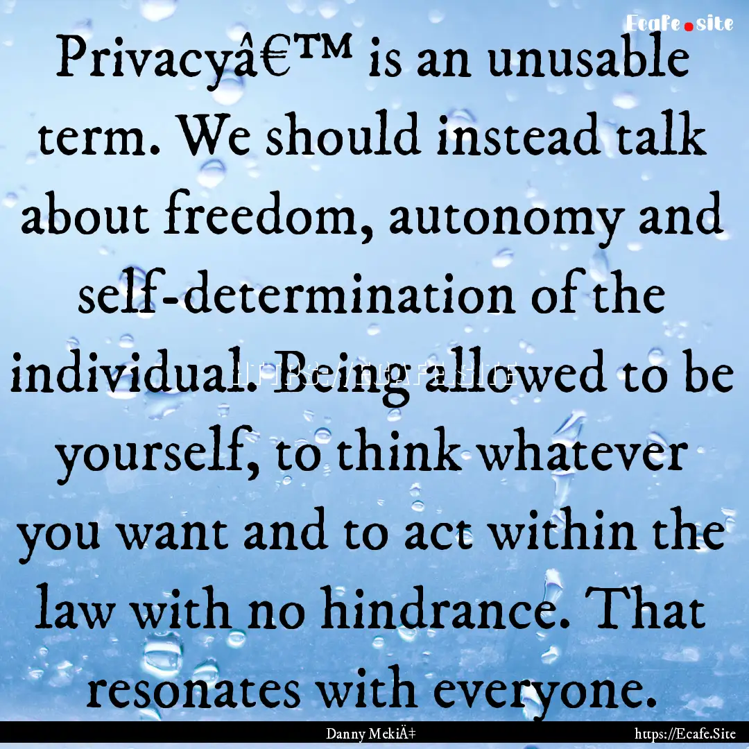 Privacyâ€™ is an unusable term. We should.... : Quote by Danny MekiÄ‡