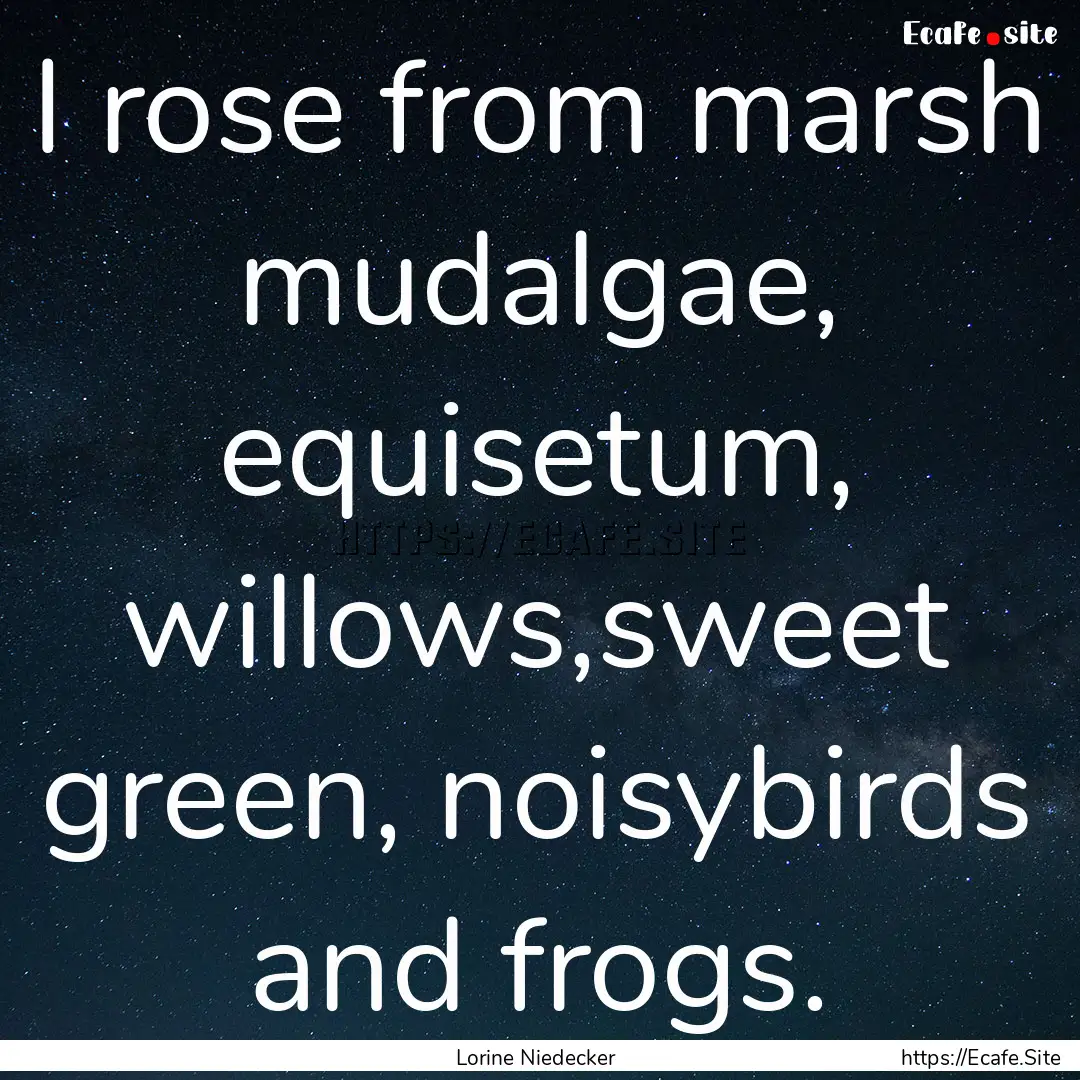 I rose from marsh mudalgae, equisetum, willows,sweet.... : Quote by Lorine Niedecker