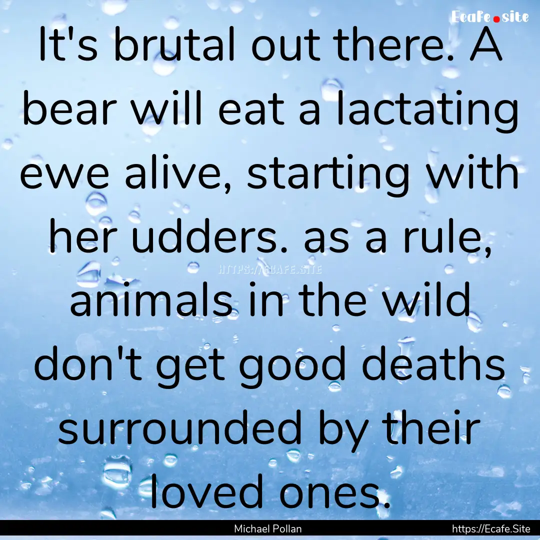 It's brutal out there. A bear will eat a.... : Quote by Michael Pollan